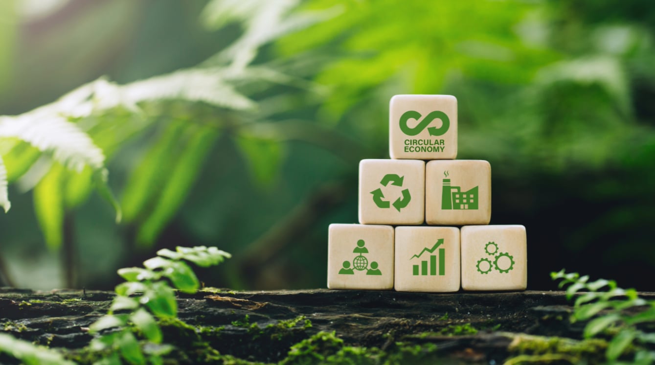 Träklossar med cirkulär ekonomi-symboler i naturmiljö